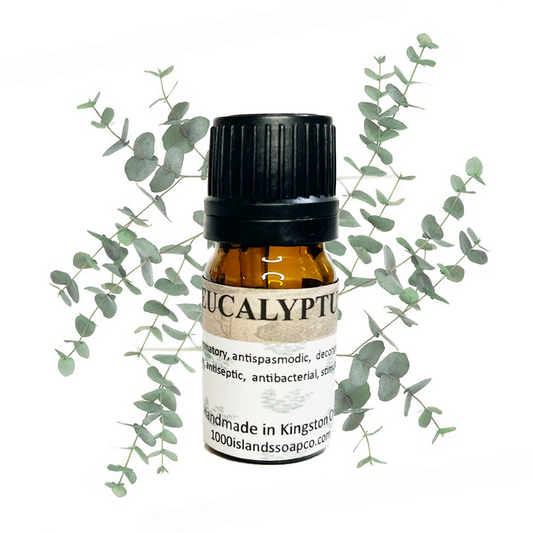 Eucalyptus Essential Oil
