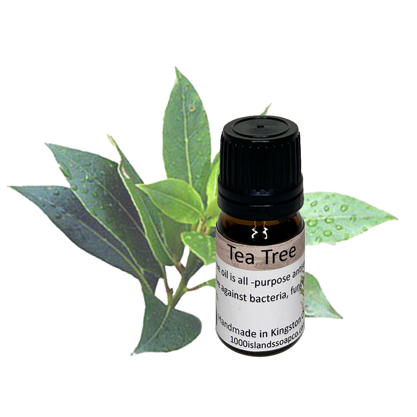 Tea Tree Essential Oil